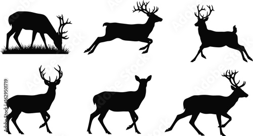 Majestic deer silhouettes in various poses capture nature's grace