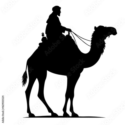silhouette of camel
