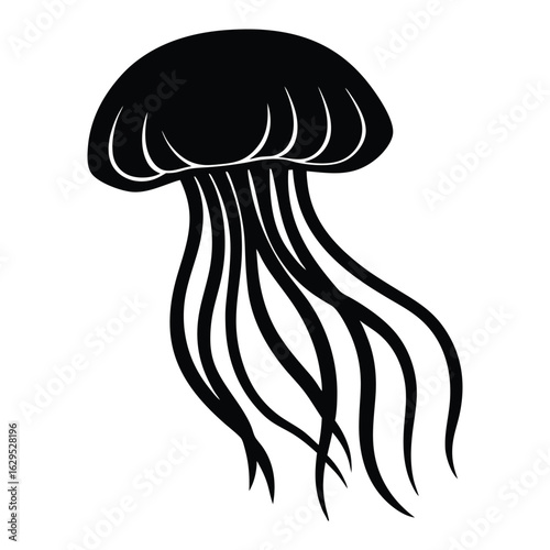 vector illustration of mushroom