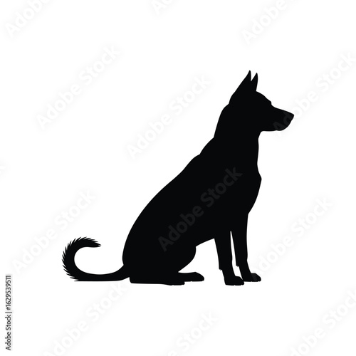 Adobe Illustrator Artwork
