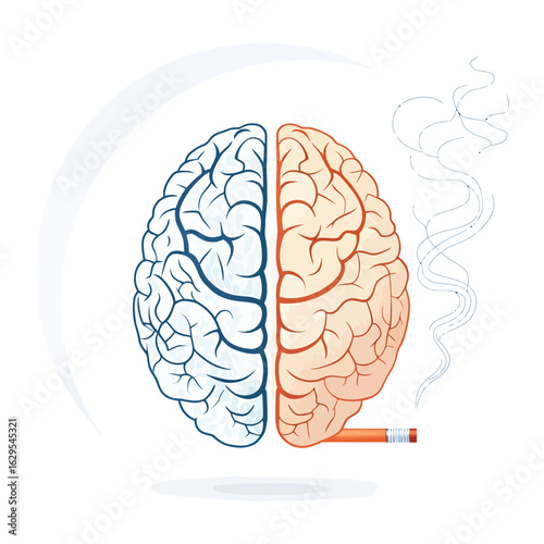 Smoking's Impact on the Brain: A graphic illustration depicts the stark contrast between a healthy brain and one affected by smoking, highlighting the detrimental effects of nicotine and smoke.