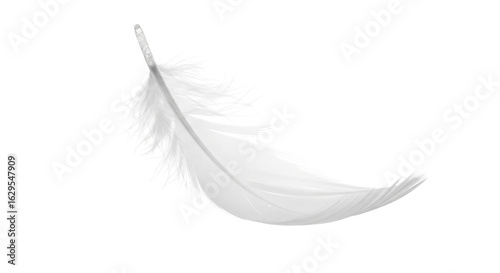 Soft white feather on a light background
