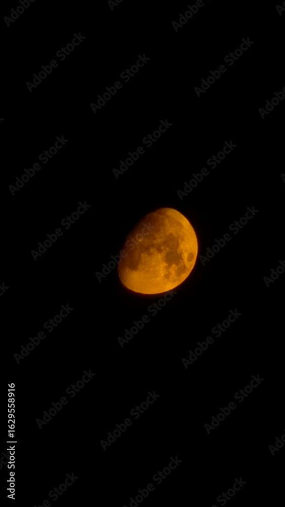 Obraz premium moon in the night sky