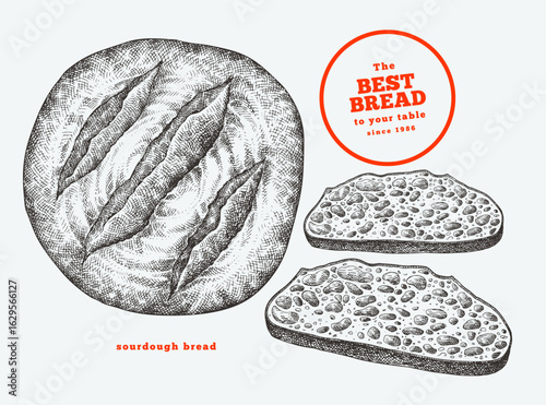 Hand Drawn Vector Sourdough Bread Illustration. Not AI Generated. Retro Bakery Isolated Image. Old School Food Design