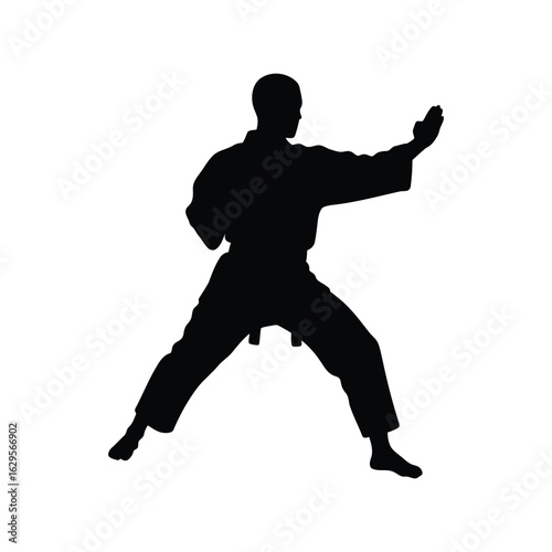  Martial arts practitioner performing dynamic karate kata, powerful side stance, disciplined training,