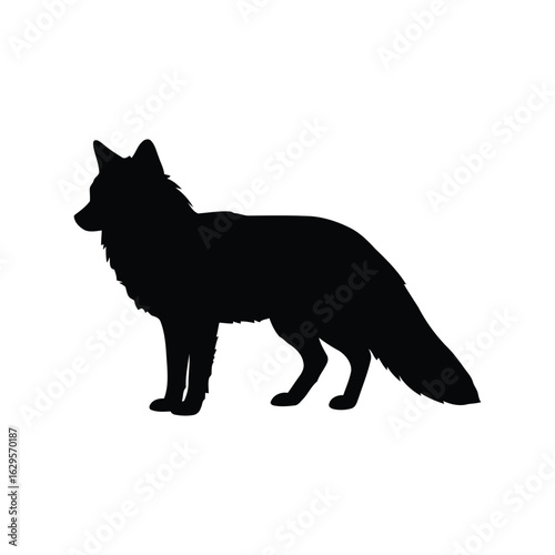 Black silhouette of a standing fox with a bushy tail isolated on white background