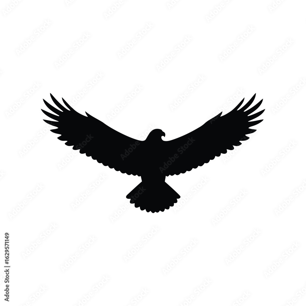Fototapeta premium Silhouette of a soaring eagle with outstretched wings isolated on white background