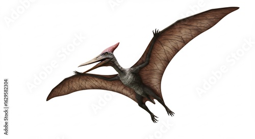 Fototapeta Naklejka Na Ścianę i Meble -  Pterosaurien vole gracieusement ciel clair illustration digitale r�aliste. AI Generated