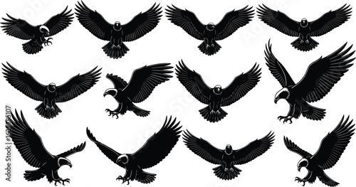 Eagle flying silhouette vector set, predatory bird clipart, black and white eagle drawing, wings spread, wildlife illustration, hunting raptor art

