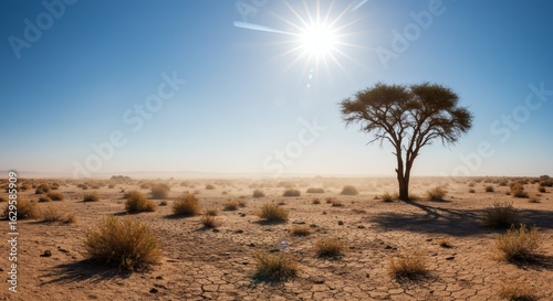 Lonely Desert Tree Under Sunny Sky