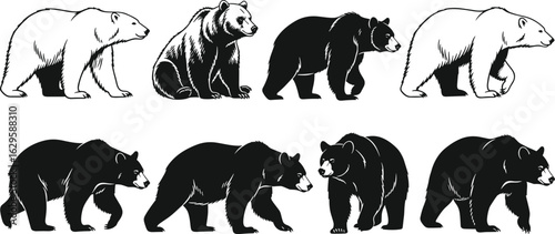 Wild bear silhouette vector set, walking grizzly bears, black and white bear illustration, wildlife drawing, animal sketch, forest predator clipart