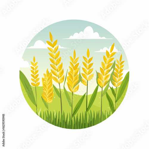 Vector illustration of a golden wheat field with ripe cereal grain plants ready for harvest