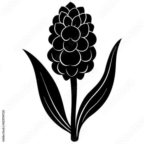 Black and white silhouette of a hyacinth flower with two leaves, isolated on white background