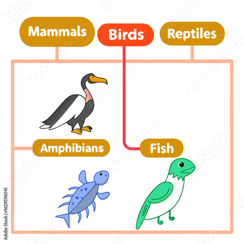 Illustration showing classification of animals into mammals birds reptiles amphibians and fish groups diagram