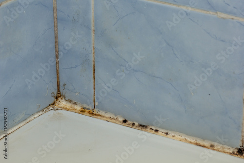 Black mold on seam in corner of bath and ceramic tile