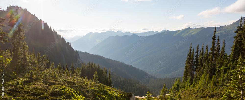 Naklejka premium Summer mountains