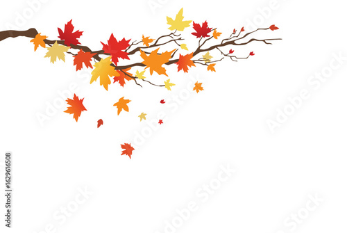 Autuman branch,fall, tree, vector background