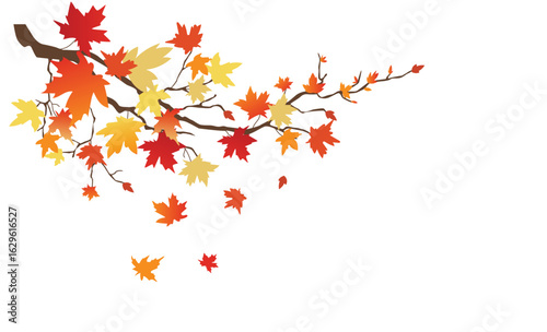 Autuman branch,fall, tree, vector background