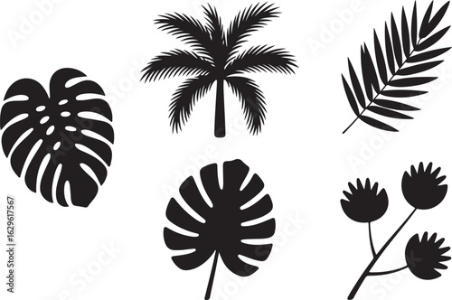 A collection of five black tropical plant silhouettes, featuring a palm tree, monstera deliciosa leaves, and exotic jungle foliage vector icons isolated on a white background.