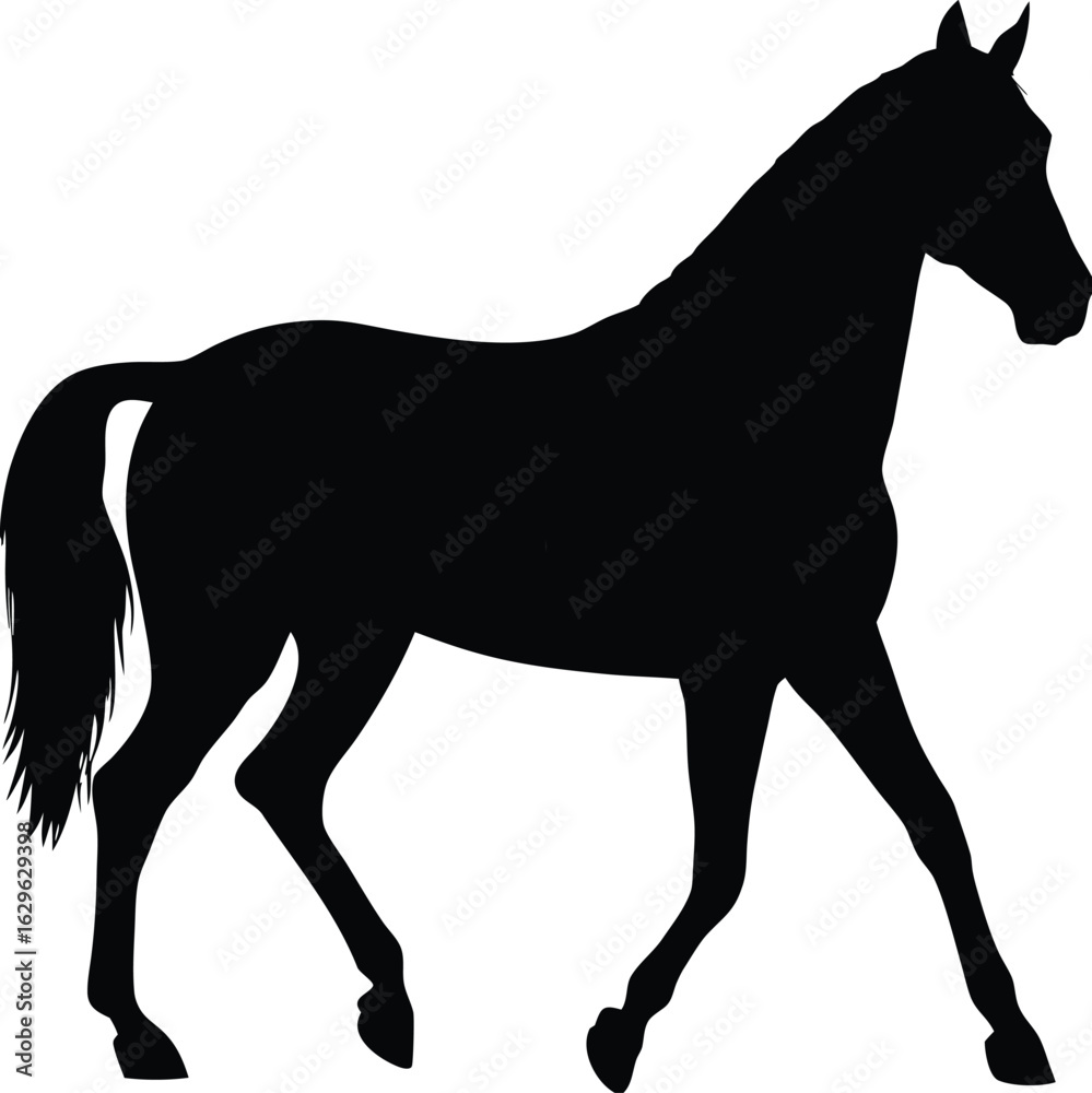Obraz premium Black horse silhouette vector art illustration isolated on white background