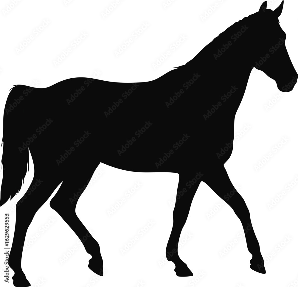 Obraz premium Black horse silhouette vector illustration of a wild stallion standing