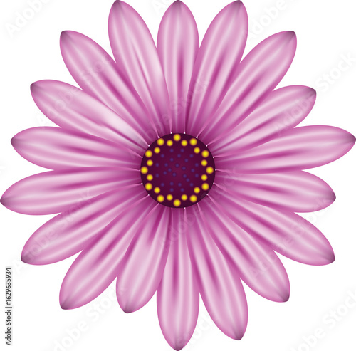 Purple Pink Flower Vector