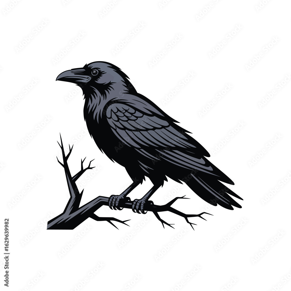 Obraz premium Vector illustration of Majestic Raven: A Striking Bird Illustration