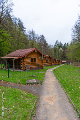 Vászonkép A line of rustic wooden cabins with red tile roofs stretches into the forest