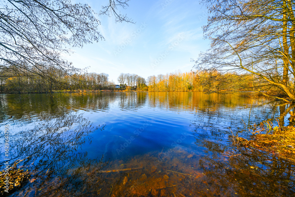 Obraz premium View of the forest lake near Saerbeck and the surrounding landscape. Nature in winter near the Saerbeck bathing lake. 