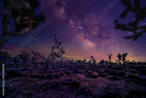 Milky Way core over a Joshua tree and desert landscape