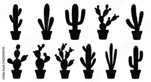Collection of diverse potted cactus silhouettes in black and white against a clean background