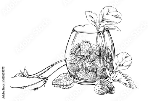 Strawberry full and cut in half served in glass with leaves tendrils, ripe picked berry pineberry strasberry harvest. Isolated illustration hand drawn in vector ink. Farmers market grocery preserves