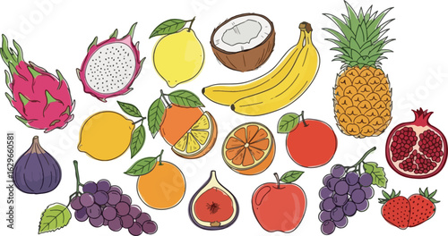 Illustration of various fruits including dragon fruit, lemon, coconut, banana, pineapple, pomegranate, fig, grapes, orange, apple, strawberry.