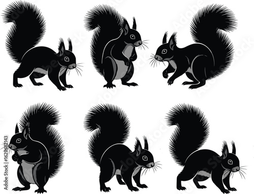 Black squirrel silhouette collection, cartoon forest squirrel poses, fluffy tail rodent illustrations, woodland animal vector set, cute wildlife graphic pack