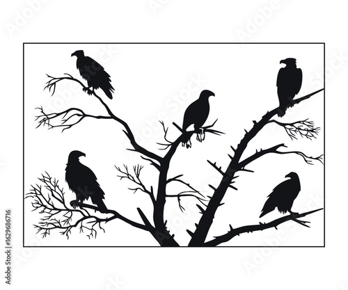 Eagle Silhouettes Perched on Various Objects  Clean Black Vector Set