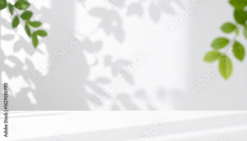 自然光が差し込むミニマルな背景　柔らかな葉の影と白いテーブル　ボケた背景