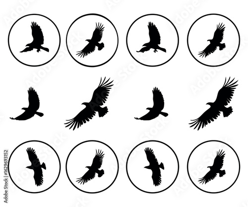 Eagle Silhouettes in Circle Frames Bold Icon Style Black Designs on White