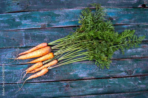 fresh farmer carrot on an green wooden background