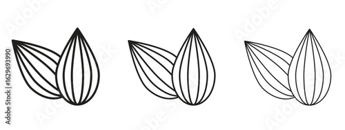 Almond icon concept. Editable stroke icon pack