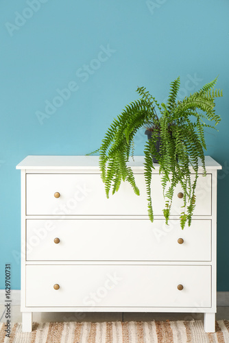 Green houseplant on chest o...