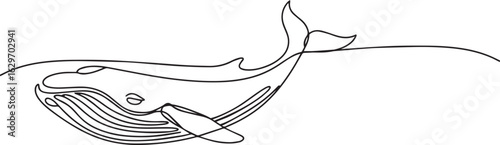 Continuous one line drawing of a whale swimming peacefully in the ocean, symbolizing calm marine life and elegant natural motion

