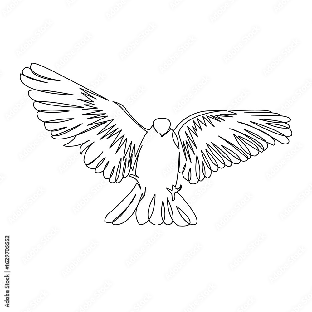 Fototapeta premium One continuous single drawing line art flat doodle dove, bird, pigeon, animal, wing, peace. Isolated image hand draw contour on a white background 