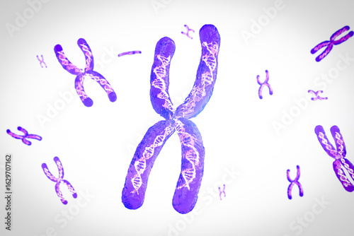 Photos Transparent chromosome x contain dna strand inside
