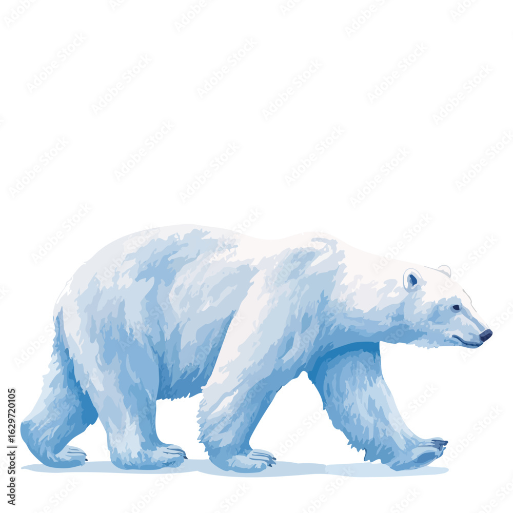 Fototapeta premium Polar bear on ice watercolor illustration