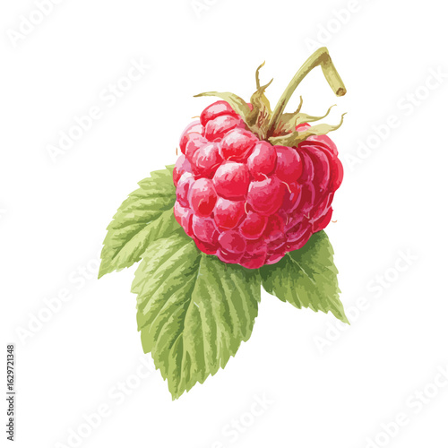 Red raspberry is on a leaf