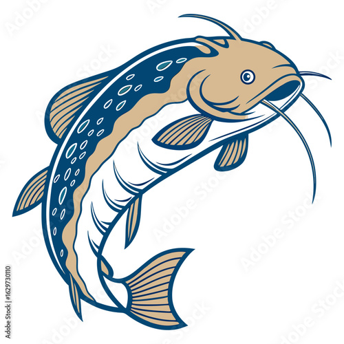 Catfish isolated on white background