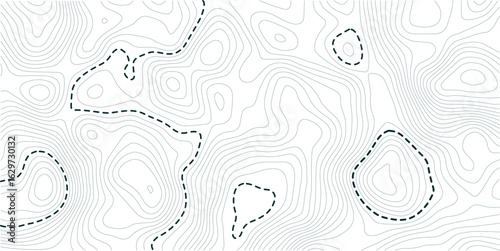 Topographic map background geographic line map  with elevation assignments. Abstract topo contour map on white background

