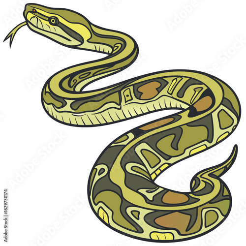 Illustration of a green and yellow python snake isolated on white background