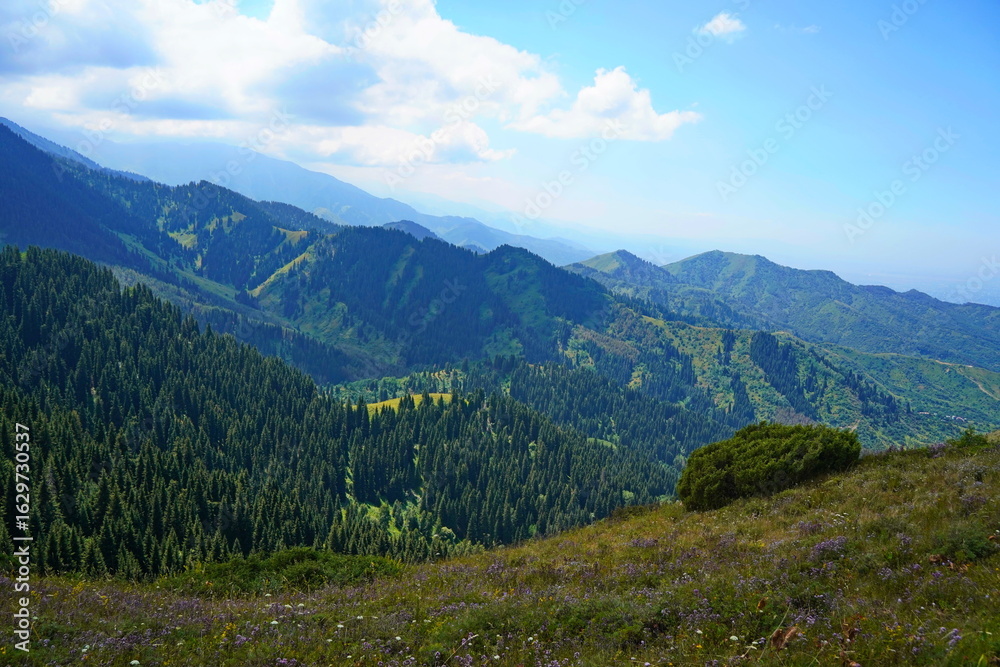 Fototapeta premium Ile-Alatau National Park. A mountain gorge with different vegetation.