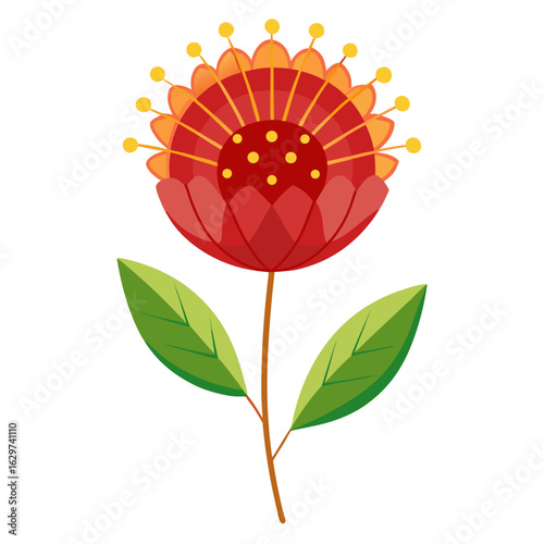  pincushion flower vector illustration isolated on white-background